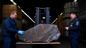 Large fragment of the Aletai iron meteorite seized by Russian customs after smugglers attempted to export it as a garden sculpture.