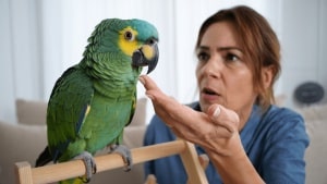 Parrots Can Learn Your Name (and Then Use It Against You)