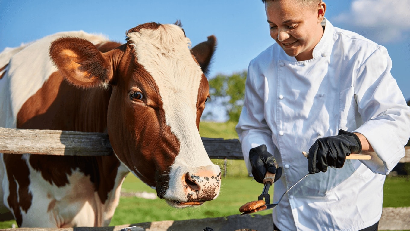 Scientists Say Cows Might Recognize Human Faces, Which Is Bad News for Grilling Season