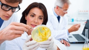 Scientists Just Discovered the Secret Behind One of Nature’s Smartest Brainless Organisms