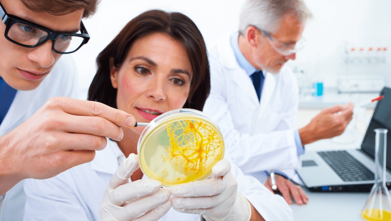 Scientists Just Discovered the Secret Behind One of Nature’s Smartest Brainless Organisms