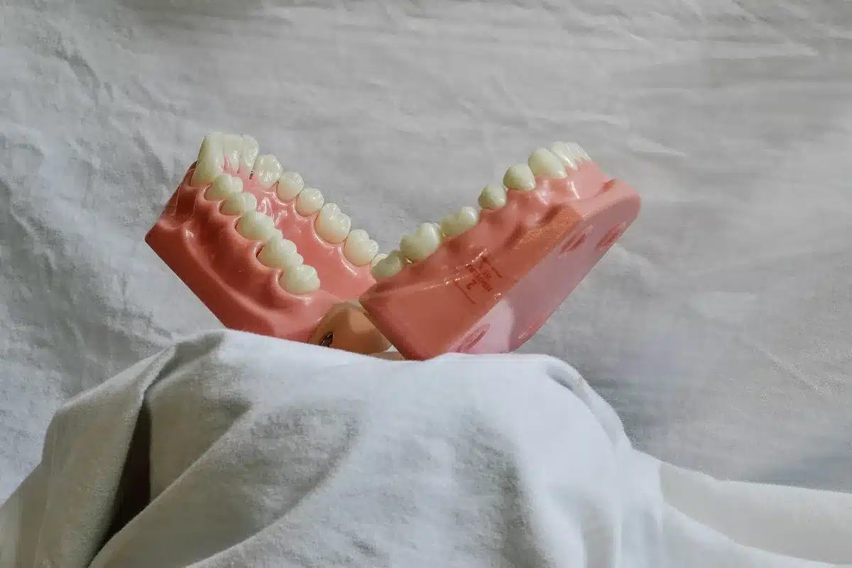 Microscopic view of molar wear patterns used to infer chewing or sucking