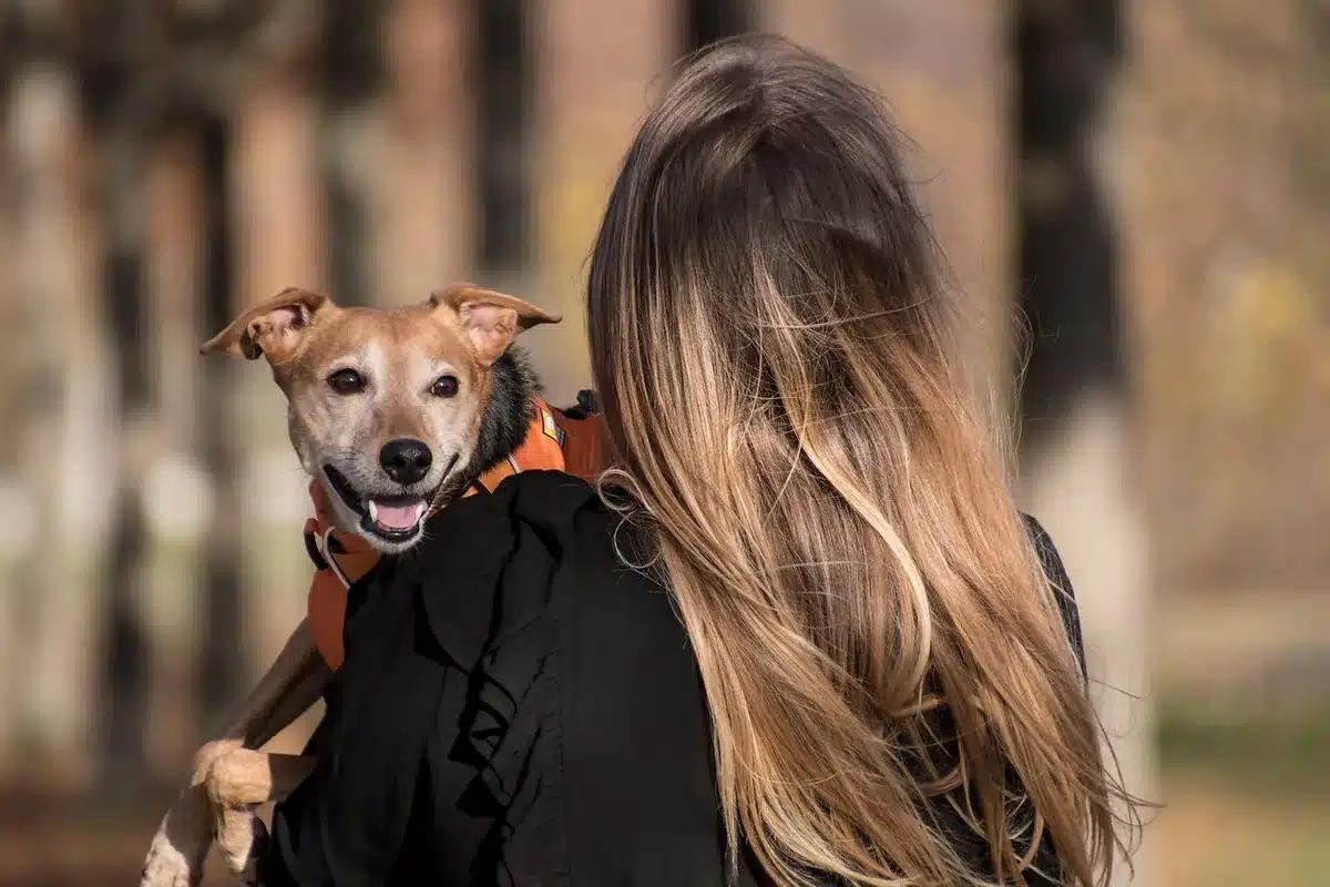 Pet owner playfully interacting with dog using baby talk