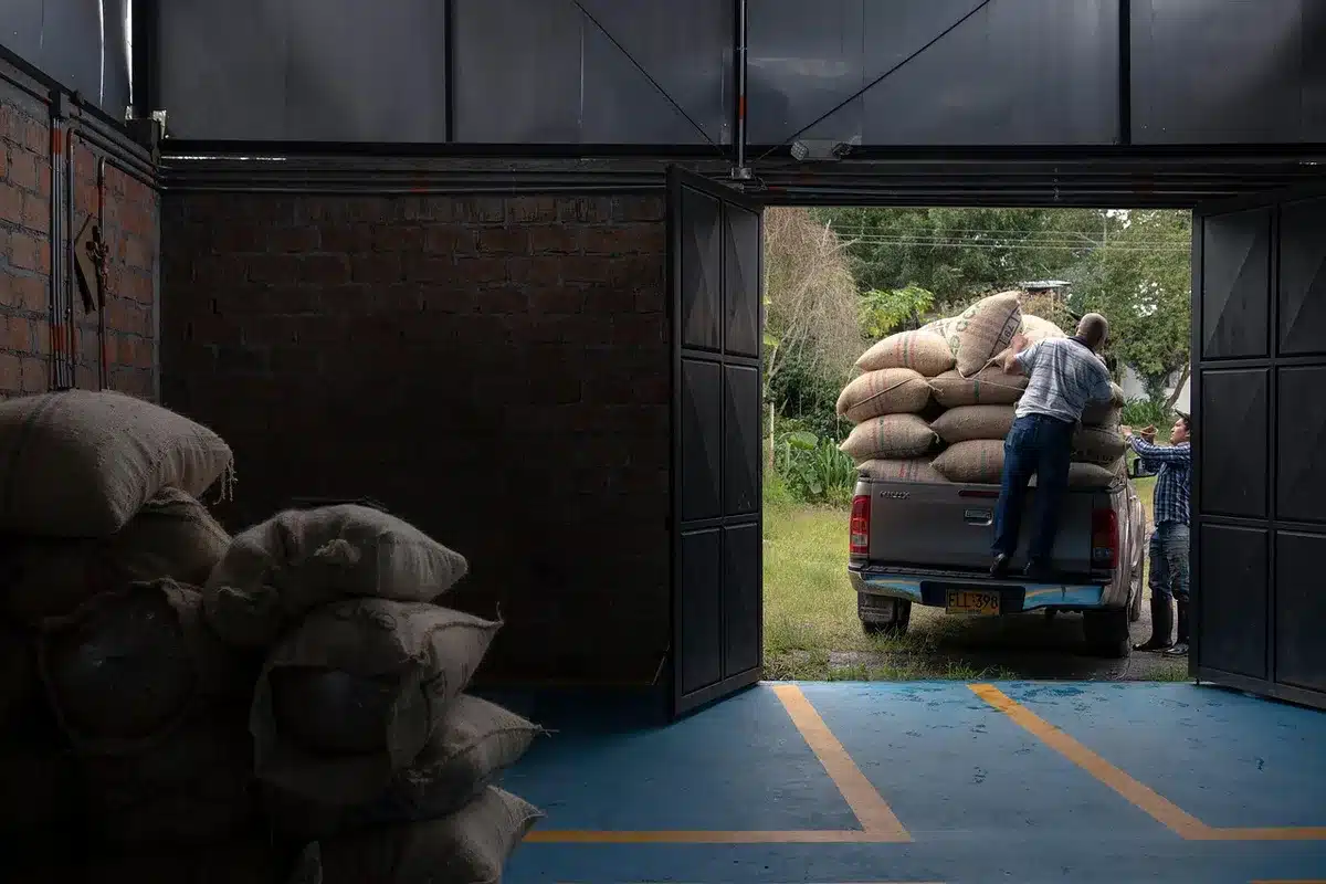 Forklift loading wine cases onto a truck at a cellar loading bay
